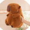 Stuffed Animal Hand Warmer Winter Hand Warming Muff Capybara Stuffed Soft Warmer With Hot Water Bottle For Girls Ladies Children