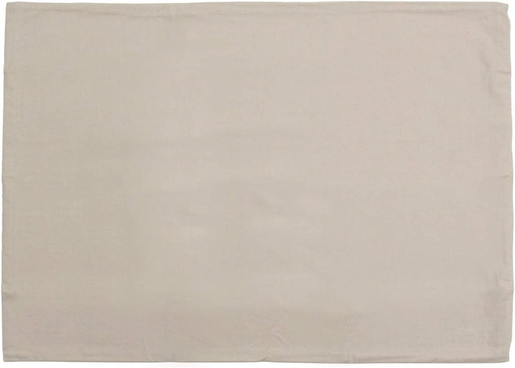 Danfill Fiber Pillow with Premium Satin Pillow Cover, White, Standard Size (JPA221-AKF01G)