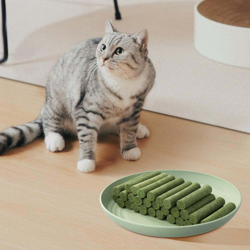 60/80 pcs Cat Grass Teeth Grinding Stick Pet Snacks Hairball Removal Mild Hair Row Ready To Eat Cat Teeth Cleaning Sticks