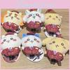 Usagi Chiikawa Small Foot Plush Toy Cartoon Animal Collectors Edition For Kids And Fans