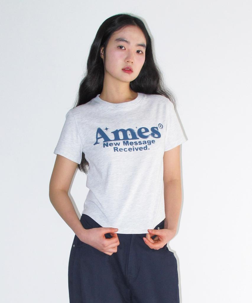 AMES-WORLDWIDE Round Hem Crop Tee Light Gray