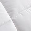 LOVO Warm Ginger Antibacterial Silky Soft Quilt