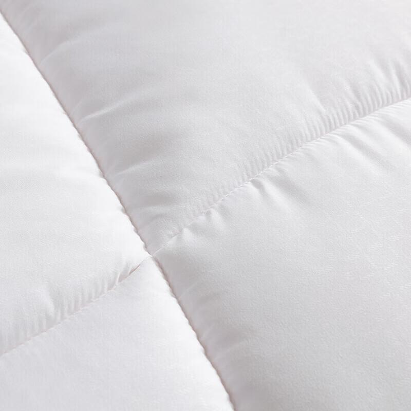 LOVO Warm Ginger Antibacterial Silky Soft Quilt