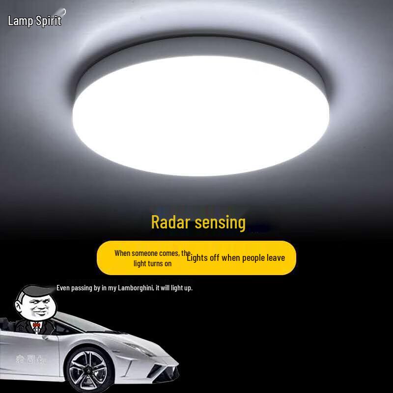 Smart LED Radar Motion Sensor Ceiling Light
