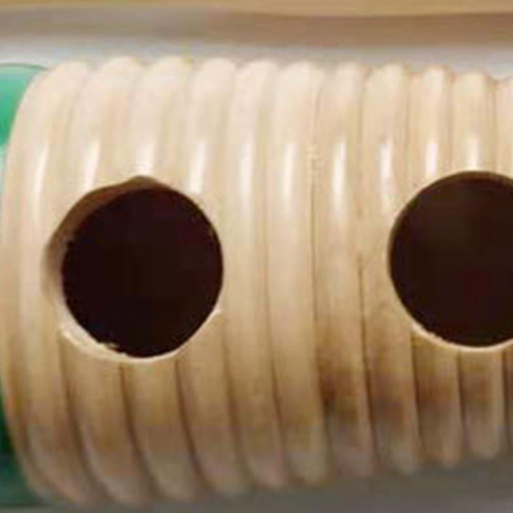 Fish Shaped Guiro Colorful Latin Percussion Musical Instruments Wooden for Kindergarten S