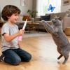Cat Interactive Toys Suction Cup Smart Interactive Moving Cat Toys Teaser Wand For Small Medium Kitten Home Apartment Play