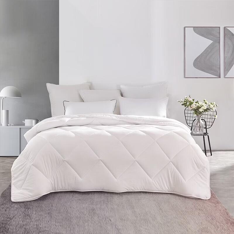 Mengjie Soft & Fluffy Nano Pearl Fiber Quilt