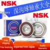 NSK Deep Groove Ball Bearings 6300-6307 Japan