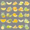51 Cantaloupe Personality Cartoon Fruit Children's Rewards Guka Decorative Skateboard Suitcase Guitar Creative Stickers