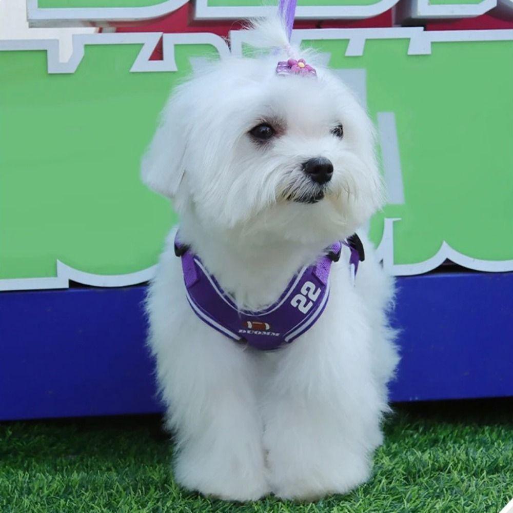 

Мягкий сетчатый нагрудный ремень для домашних животных, спортивный жилет для собак, нагрудный ремень, практичный комплект поводков для прогулок S зелёный