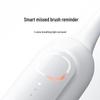 Xiaomi Sonic Vibration Electric Toothbrush CN plug (adapter included)