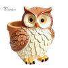 Hand Painted Owl Statue Cute Cartoon Planter, Resin Small Planter Pot, Decorative Micro Landscape Plant Pot for Succulents, Indoor Garden Balcony