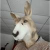 Easter Kangaroo Mask Latex Animal Mask Halloween Masquerade Party Kangaroo Mask
