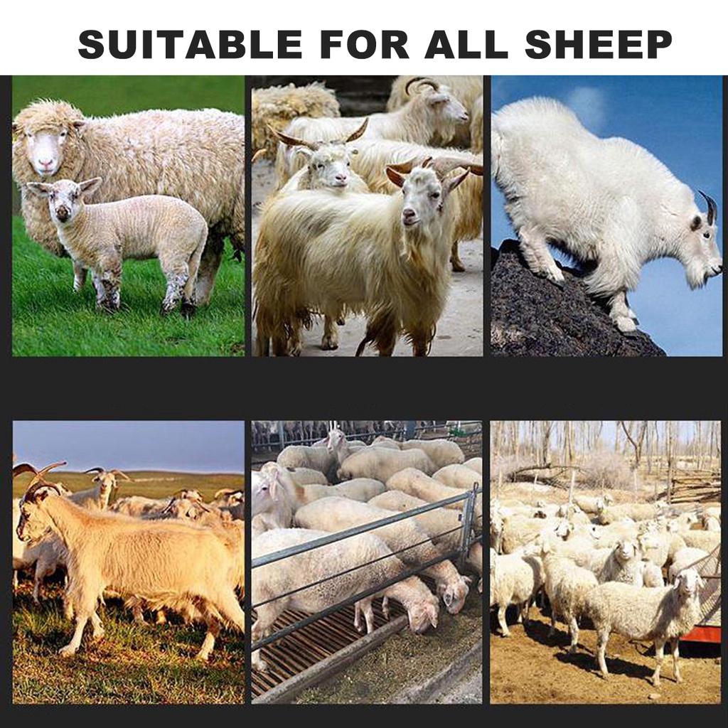 21V 6 Geschwindigkeiten Akku-Elektro-Schaf-Tierhaarschneider Scherkit Ziege Haustier Tier Bauernhof Schnittschere Wolle Schneidmaschine mit Akku 3200 U/min