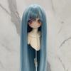 Neue Perücke für 13 & 14 & 16 BJD Puppen mit Pony Lange Gerade Perücke Mädchen DIY Make-up Zubehör