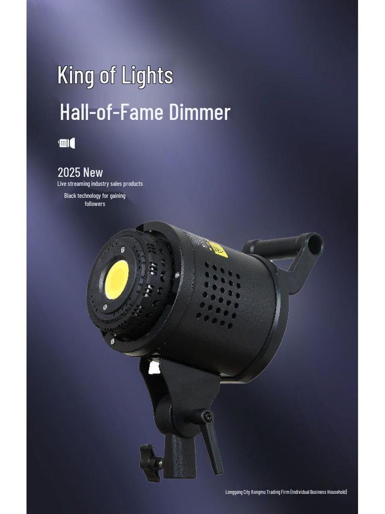 Zheyu Bright Spherical Fill Light for Indoor Live Streaming and Photography