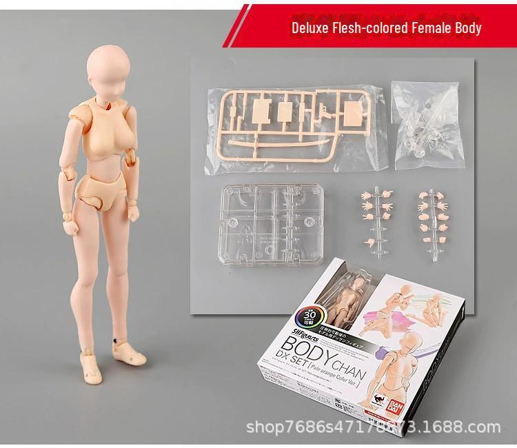 

Арт-комикс Модель руки человека для эскизов, рисования и справки - Мужская и женская шарнирная подвижная кукла SHF deluxe female