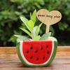30Pcs Wooden Garden Markers Stakes Heart/Butterfly Shaped Plant Labels Herb And Vegetable Plant Tags Sticks For Indoor Flowerpot