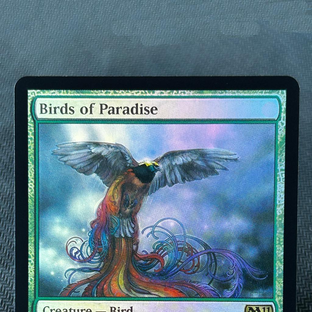 Foil Arcane Signet Old Frame Nazgûl Gaea'S Cradle Jp Volrath'S Stronghold Tcg Cusom English Card Quality Board Trading Card Game