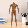 Accessori 's Articolazioni Multiple Figura d'Azione 1/6 Altezza 26cm Uomo Forte Modello Maschile Mobile 26 Articolazioni Corpo Figura d'Azione Sostituzione