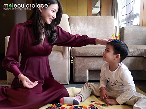 Molecular Pieces (Designer) is a molecule-shaped block toy. A new type of block that can be used to create various shapes.
