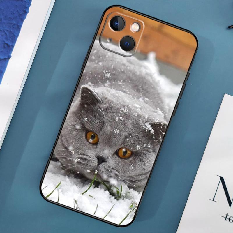 Etui z brytyjskim krótkowłosym kotem na iPhone'a 15 14 13 12 11 Pro Max XS X XR SE 2020 2022 7 8 Plus 12 13 Mini