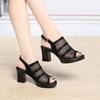 Women's Summer New Leather Hollow Out Peep Toe Sandals Thick Sole Non Slip Block Heel Slip On Modern Sandals High Heel Sandals