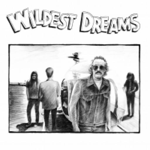 CD WILDEST DREAMS Wildest Dreams STS253CD Smalltown Super 2014 Великобритания Рок Б/у