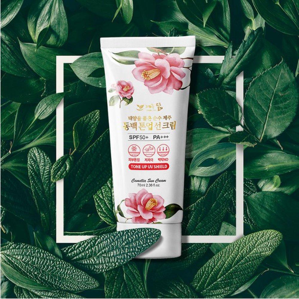 jejudarm camellia tone-up sun cream 50ml sun block