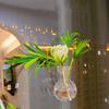 Set aus 2/4 Hängenden Acryl-Hydrokultur-Pflanzgefäßen, Blumenvasen mit Saughaken für Wohnungen, Bürofensterdekorationen