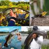 Frog Fishing Lure, Hollow Body Frog Topwater Przynęty miękkie dla Bass Pike Snakehead Dogfish Musky