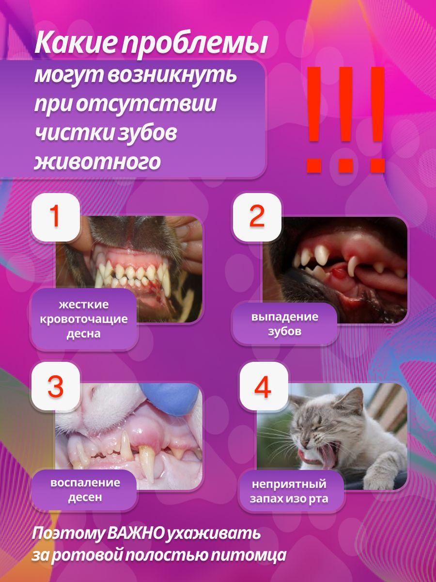 

Одноразовый набор зубной щетки и зубной пасты для домашних собак оранжевый