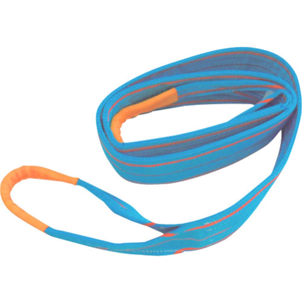 Tesac Blue JIS Grade on Both 250mm Wide x Long Sling, 4, Eye-Eyed Ends, 2.5m