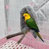 Bird Shawl Nest Plush Warming Pet Hanging Tent Hanging Windproof Warm Parrot Bird Sleeping Nest Pet Bird Supplies