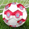 FC Bayern Munich Soccer Ball, Colorful, Suitable for All Ages, Machine-stitched, PVC Material, Competition Grade, Durable and High Bounce