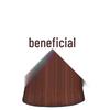 Buick GL8 2020 Teak Wood Floor Mats for Avenir Fathead Fish Lucene ES25S
