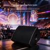 WISHU YZ-15F 15-inch Professional Passive Coaxial Monitor Speaker (CN version)