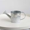 Vintage Embossed Iron Flower Pot Small Flowers Vase Watering Can Hanging Plant Balcony Bucket Home Garden Decorations Ornaments