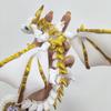 3D New Printed Wyvern Dragon With Wings Simulation Model Gift Articulated Dragons Fidget Dragons Desktop Ornaments