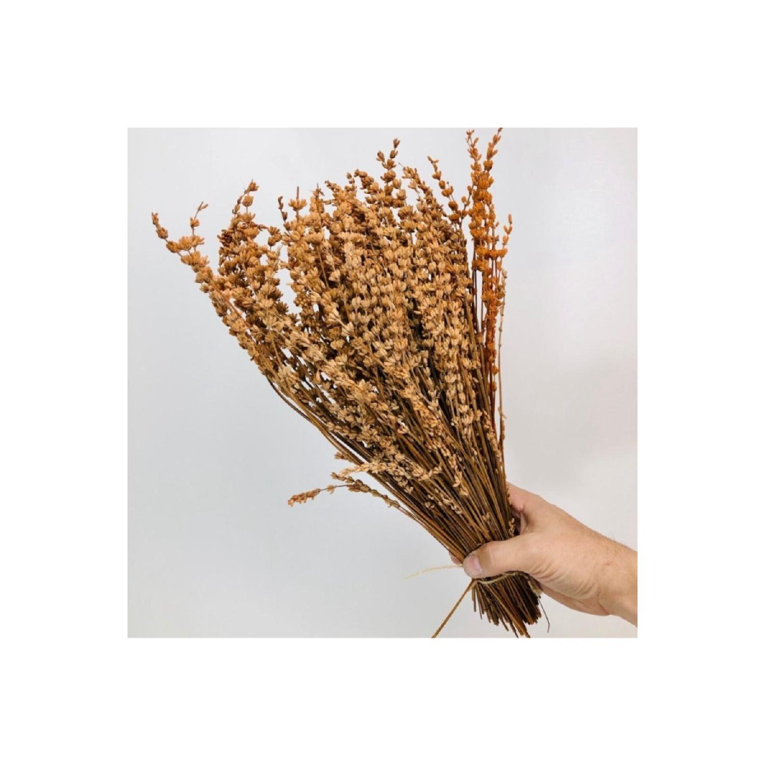 

Brown Shocked Lavender Real Lavender Bunch коричневий