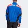 Jackets Men's Blue Stand Collar Moderate Other FS4048