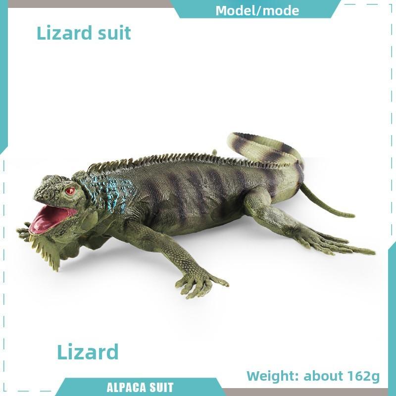 Realistic Reptile Lizard Chameleon Model With Assembleable Chameleon And Gecko Figures For Collectors And Kids