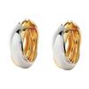 Advanced Light Luxury Two-color Earrings, High-quality Retro Accessories, European and American New Gold-plated Copper Earrings