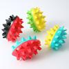 Pippi Tao TPR colorful bite-resistant toys, tooth grinding and teeth cleaning pet products dog toys