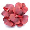 5/10Pcs Artificial Phalaenopsis 3D Small Butterfly Orchid Fake Flower Home Drapery Wall Wedding Decoration Festival Diy Wreath