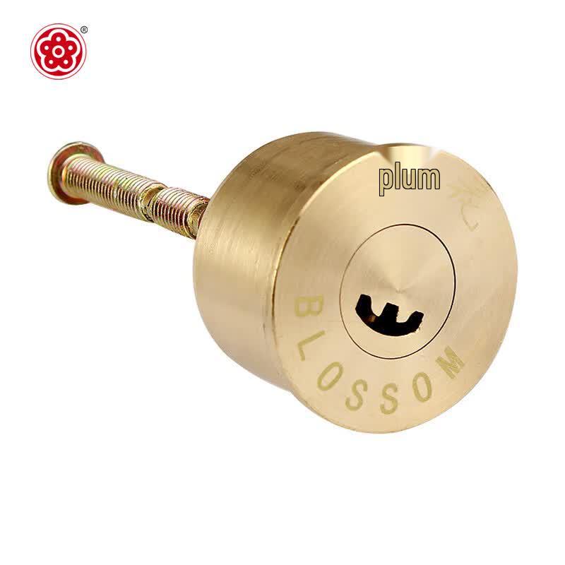 BLOSSOM B-Grade Anti-Theft Door Lock Cylinder DYY05