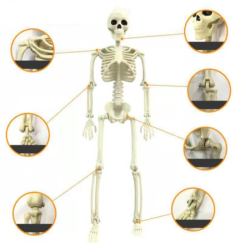 Halloween Skull Skeleton Decoration Simulated Human Plastic Bones Haunted House Decorative Skeleton