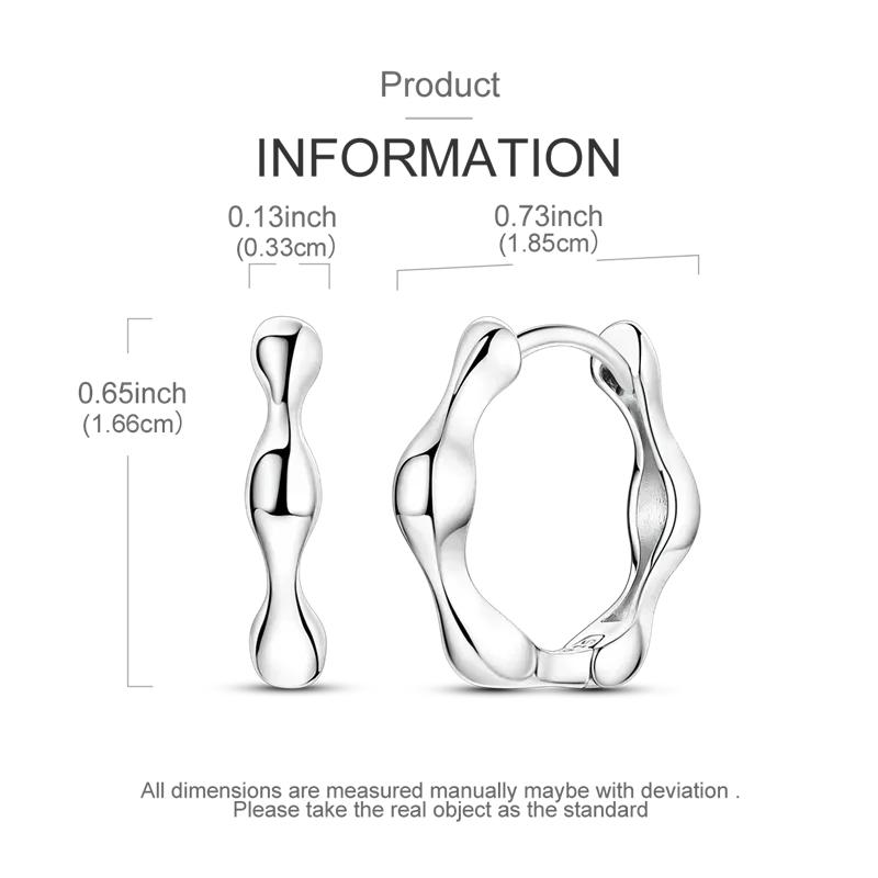 Original 925 Sterling Silver Circle Shaped Style Earring Women Hoop Earrings High Quality Shine Zircon for Women Jewelry Gift