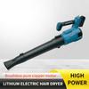 High Power Rechargeable Storm Machine Handheld Electric Blade Blower Snow Blowing And Dust Removal Power Tool