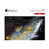 Major Craft Fine Tail Eden 45S Major Craft Fine Tail